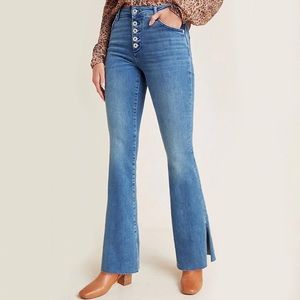 Anthropologie Pilcro High Rise Skinny Bootcut Jeans